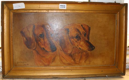 Dog study- oil by Gertrude Whelpling